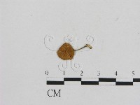 登錄號:F0001082藏品圖，第1張