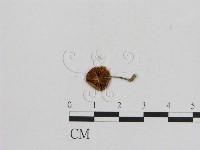登錄號:F0001082藏品圖，第3張