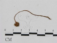 登錄號:F0001084藏品圖，第1張