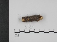 登錄號:F0001090藏品圖，第1張