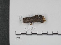 登錄號:F0001090藏品圖，第3張