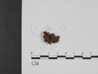 登錄號:F0001092藏品圖，第1張