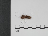 登錄號:F0001092藏品圖，第4張
