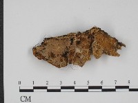 登錄號:F0001095藏品圖，第1張