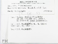 登錄號:F0001096藏品圖，第2張