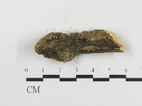登錄號:F0001096藏品圖，第1張