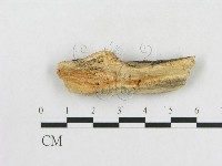登錄號:F0001096藏品圖，第4張