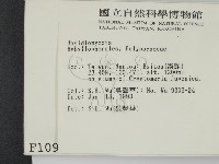 登錄號:F0001097藏品圖，第2張