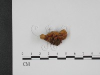 登錄號:F0001097藏品圖，第3張