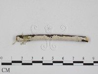 登錄號:F0001098藏品圖，第1張
