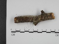 登錄號:F0001103藏品圖，第1張