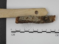 登錄號:F0001103藏品圖，第3張