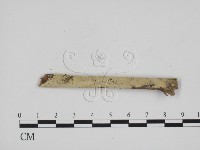 登錄號:F0001104藏品圖，第3張