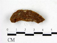 登錄號:F0001107藏品圖，第4張
