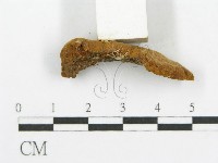 登錄號:F0001107藏品圖，第5張
