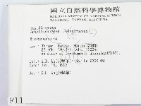 硬孔菌屬藏品圖，第2張