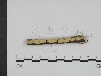 登錄號:F0001109藏品圖，第1張