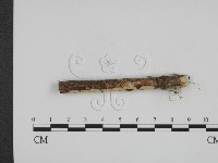 登錄號:F0001109藏品圖，第3張