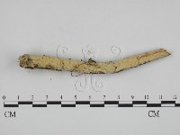 登錄號:F0001110藏品圖，第3張
