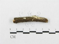 登錄號:F0001112藏品圖，第1張