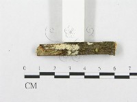 登錄號:F0001112藏品圖，第4張