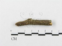登錄號:F0001112藏品圖，第5張