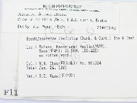 登錄號:F0001114藏品圖，第2張