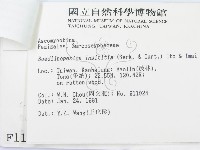 登錄號:F0001114藏品圖，第3張