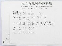 登錄號:F0001115藏品圖，第2張
