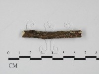 登錄號:F0001117藏品圖，第1張