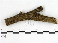登錄號:F0001118藏品圖，第1張
