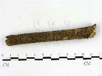 登錄號:F0001119藏品圖，第1張