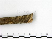 登錄號:F0001119藏品圖，第3張