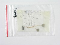 鬼傘屬藏品圖，第3張