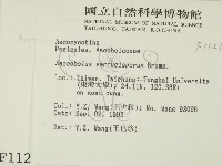 登錄號:F0001121藏品圖，第2張