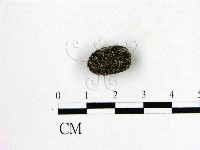 登錄號:F0001122藏品圖，第1張