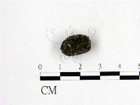 登錄號:F0001122藏品圖，第3張