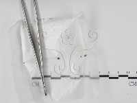 登錄號:F0001123藏品圖，第1張