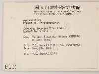登錄號:F0001124藏品圖，第2張