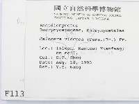 登錄號:F0001130藏品圖，第2張
