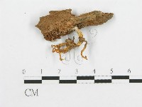 登錄號:F0001130藏品圖，第3張
