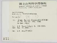 小菇屬藏品圖，第2張