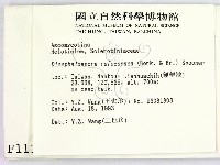 登錄號:F0001134藏品圖，第2張