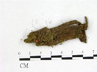 登錄號:F0001134藏品圖，第1張