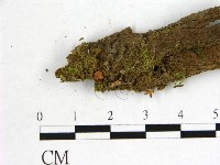 登錄號:F0001134藏品圖，第3張