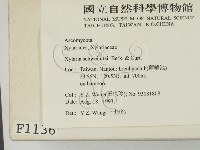登錄號:F0001136藏品圖，第2張