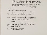 登錄號:F0001137藏品圖，第2張