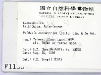 登錄號:F0001138藏品圖，第2張