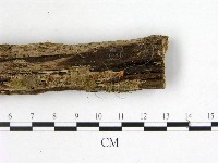 登錄號:F0001141藏品圖，第3張
