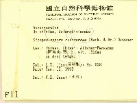 登錄號:F0001142藏品圖，第2張